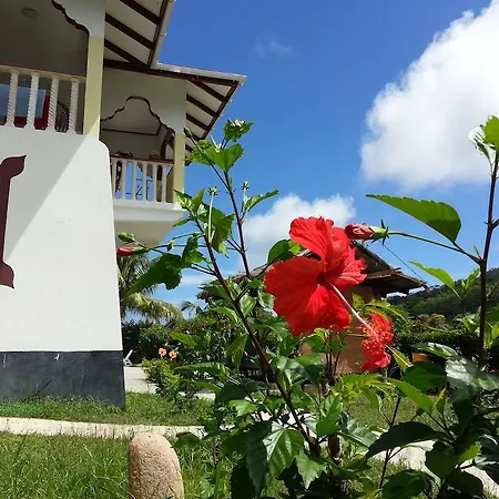 Zanboza Guesthouse-3