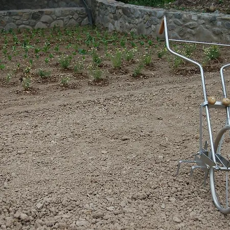 Molí del Casó-2