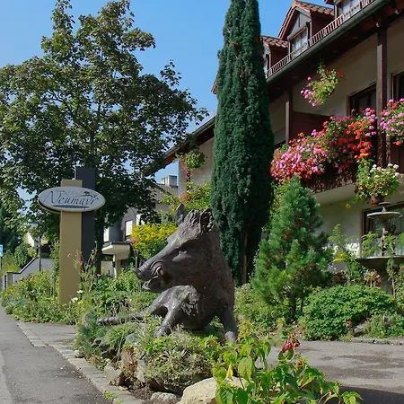 Hotel Neumayr-3