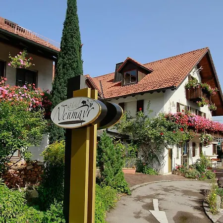 Hotel Neumayr-2
