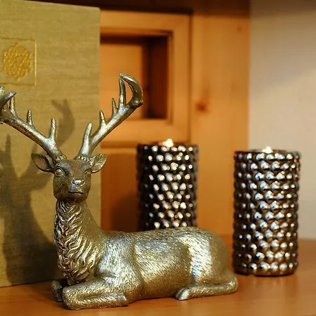 Hotel Garni Urezza-2