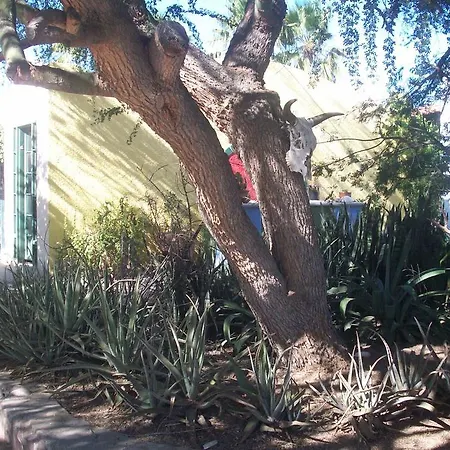 Casabuena B&B-3