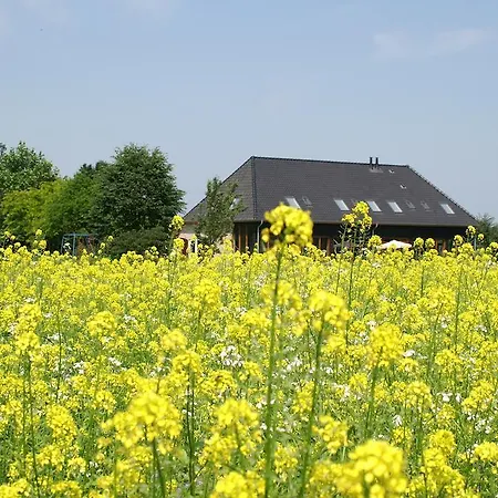 B&B de Luijenbergh-3