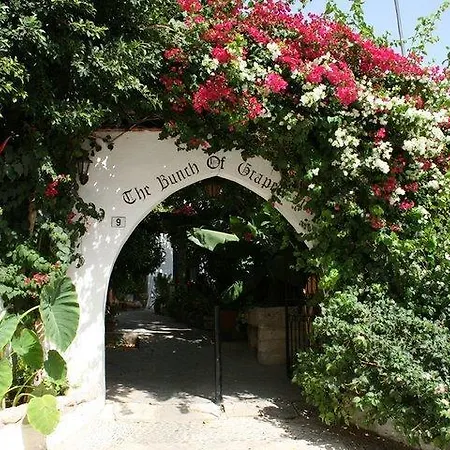 The Bunch Of Grapes Inn-2