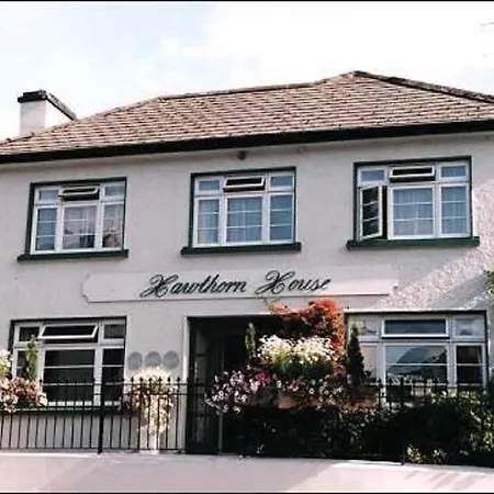 Hawthorn House Guesthouse-3