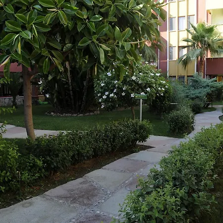 Saritas Hotel Only Family Concept-3