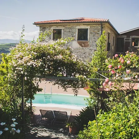 Casa Do Romezal-2