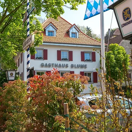 Zur Blume Hotel & Restaurant Efringen-Kirchen Bei Basel-3