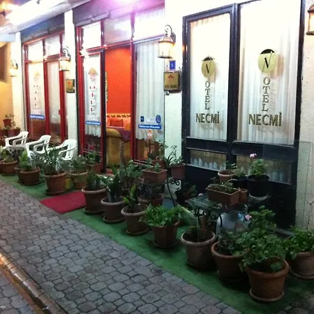 Hotel Necmi-2