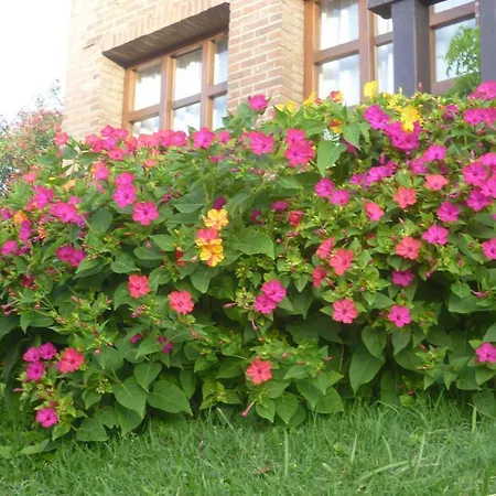 Acquamarina Hotel-2