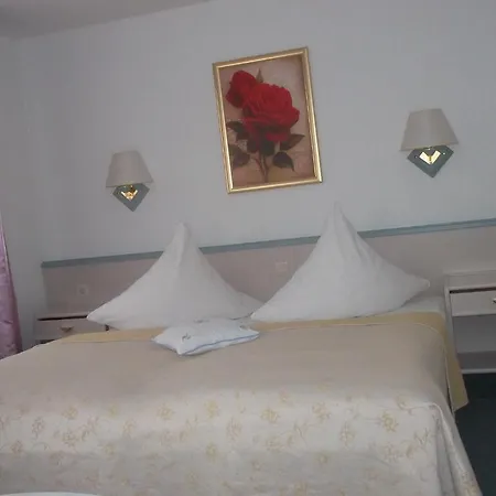 Hotel am Seetor-3