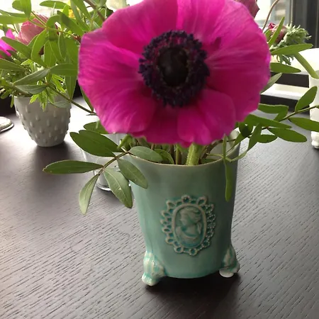 B&B Winterresidentie-3