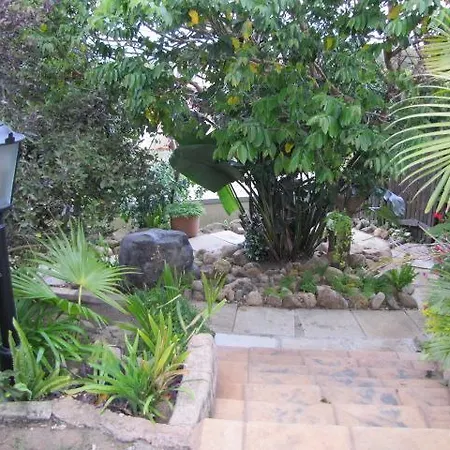 Suzy'S Place-2