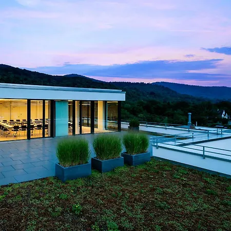 Midori - The Green Guesthouse-3