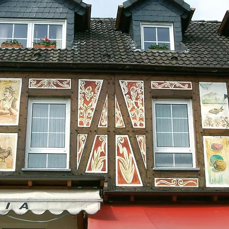 Hotel Vater Rhein-3