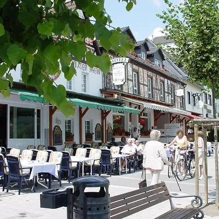 Hotel Vater Rhein-2
