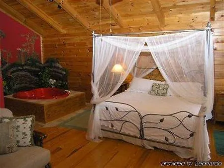 Black Forest Bed & Breakfast-3