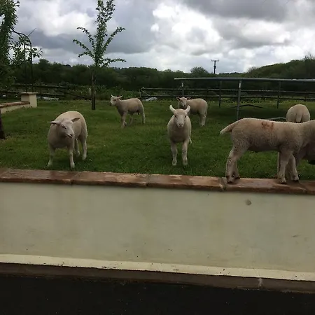 Barton Gate Farm B&B-3