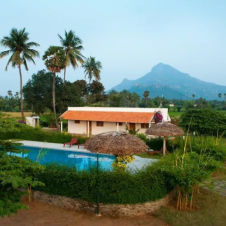 The Mountain Retreat-2