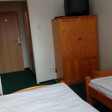 Hotel Bozi Dar - Excalibur-2