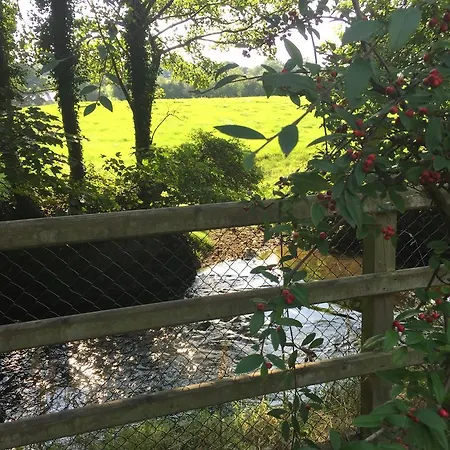 Riverbank, Country Pub And Guesthouse-3