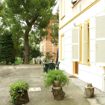 Pino Marittimo-3