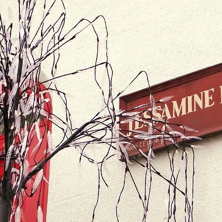 Jessamine House Hotel-2