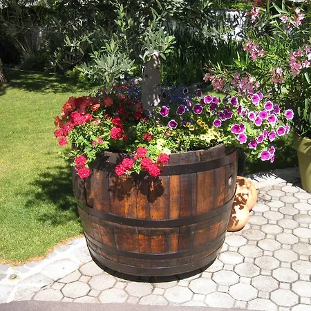 Pension Schmidt-2