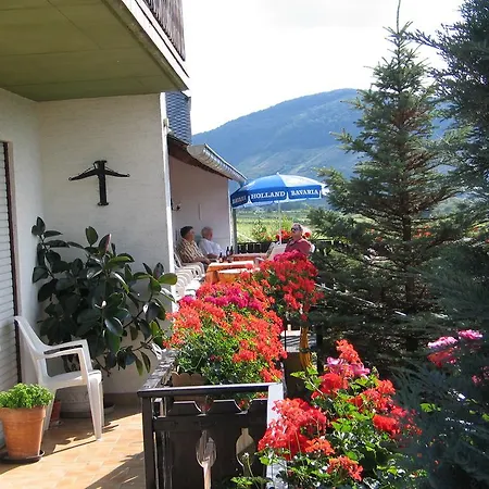 Pension und Weingut Moselblick-2
