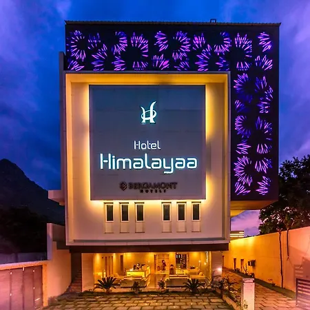 Hotel Himalayaa-3