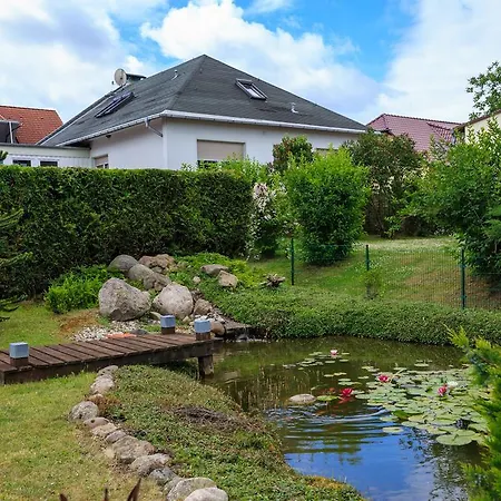 Hotel-Pension Am Rosarium-2