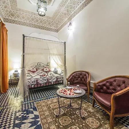 Riad Sara-3