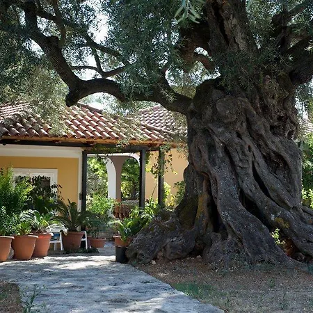 Villa Christina-2