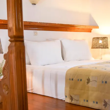 Astron Hotel-2