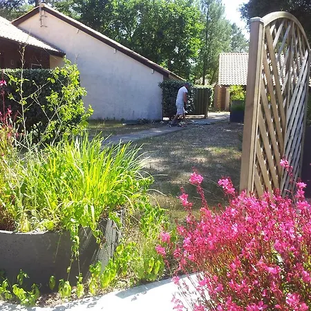 Village Club Dunea-2