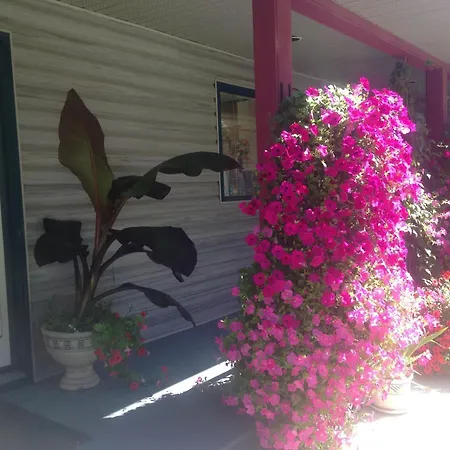 Eagle'S Nest B&B-2