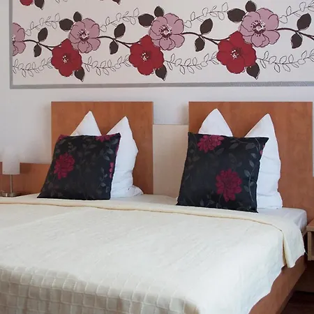 Hotel Vier Löwen-3
