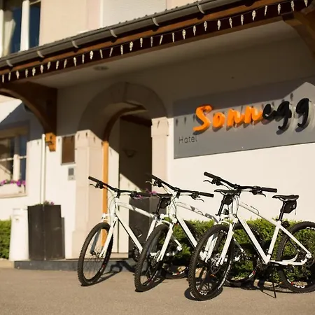 Sonnegg Hotel-3