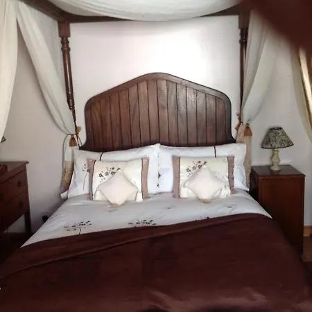 Alice Guest House-2