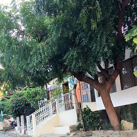Lorena Surf Hostel-2