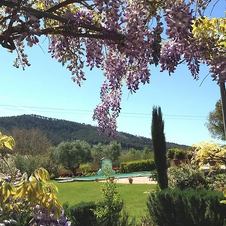 Bastide de Fontvieille-3