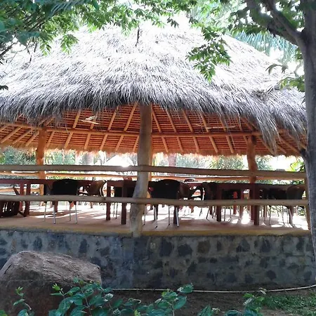 The Coconut Gardens Hotel & Restaurant-3