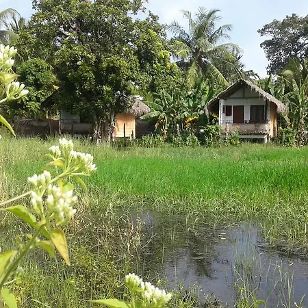 Lake Cabin-2