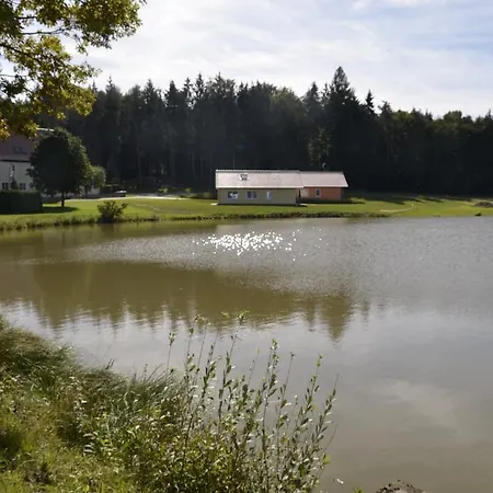 Pension Zum Grünen Wald-2