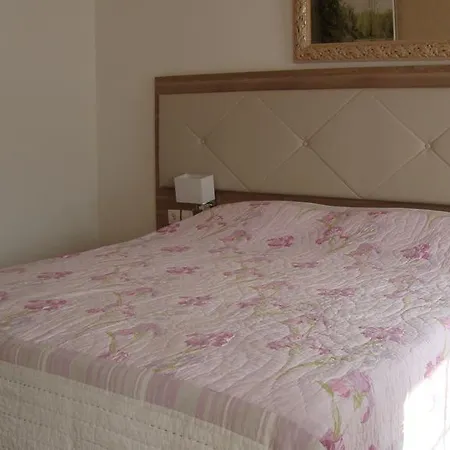 Hotel Pikassaria-3