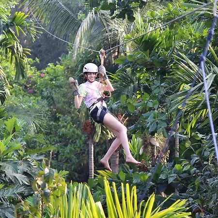 Jungle Book Resort-2