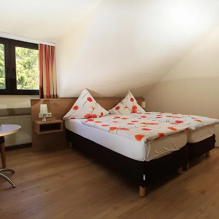 Waldhotel Albachmuehle-3