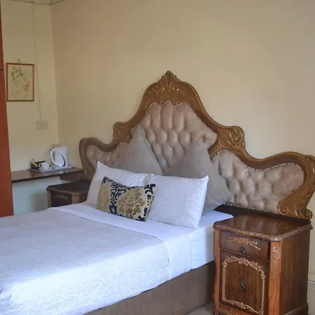 Oasis Guest House-3