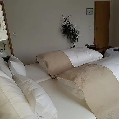 Hotel Domhof-2