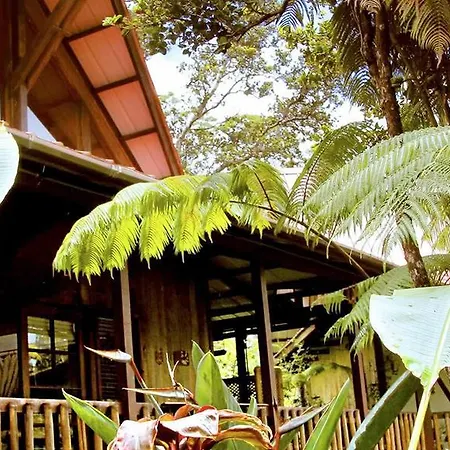 Lotus Garden Cottages-3